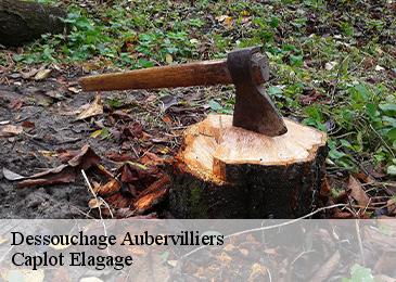 Dessouchage  aubervilliers-93300 Caplot Elagage