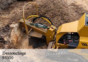 Dessouchage  93300