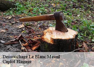 Dessouchage le-blanc-mesnil-93150 Caplot Elagage
