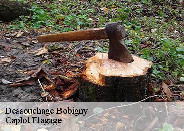 Dessouchage bobigny-93000 Caplot Elagage
