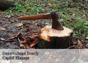 Dessouchage  bondy-93140 Caplot Elagage