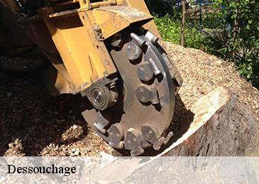 Dessouchage