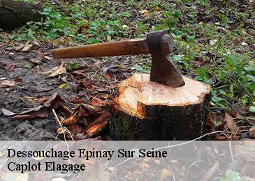 Dessouchage  epinay-sur-seine-93800 Caplot Elagage