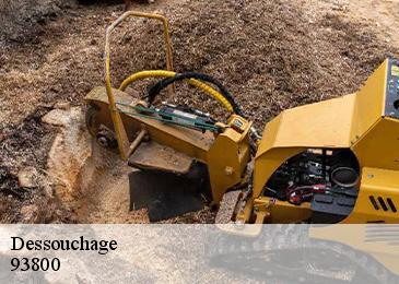 Dessouchage  93800