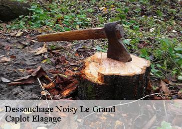 Dessouchage  noisy-le-grand-93160 Caplot Elagage