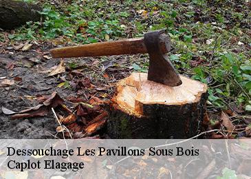 Dessouchage les-pavillons-sous-bois-93320 Caplot Elagage