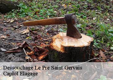 Dessouchage  le-pre-saint-gervais-93310 Caplot Elagage