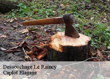 Dessouchage le-raincy-93340 Caplot Elagage