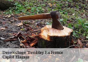 Dessouchage tremblay-en-france-93290 Caplot Elagage