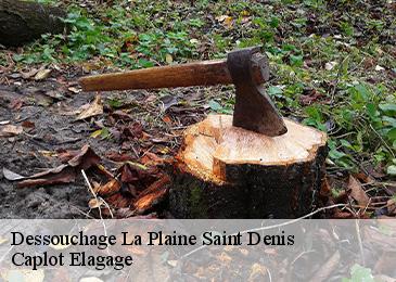 Dessouchage  la-plaine-saint-denis-93210 Caplot Elagage