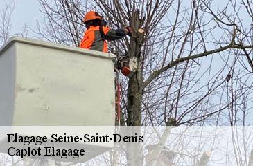 Elagage 93 Seine-Saint-Denis Caplot Elagage