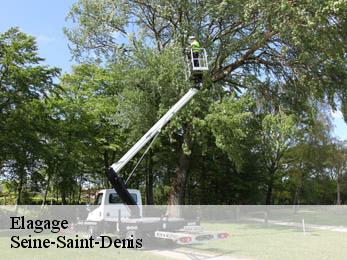 Elagage Seine-Saint-Denis