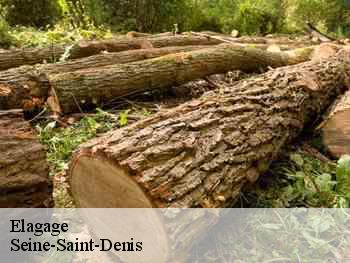 Elagage Seine-Saint-Denis