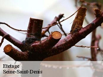 Etetage Seine-Saint-Denis