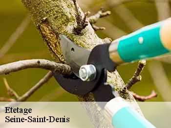 Etetage Seine-Saint-Denis