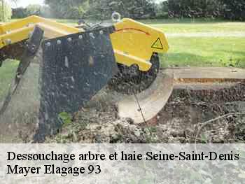 Dessouchage arbre et haie 93 Seine-Saint-Denis  Adolphe Elagage
