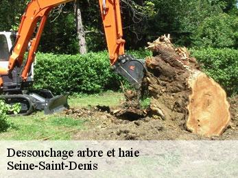 Dessouchage arbre et haie Seine-Saint-Denis