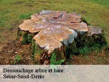 Dessouchage arbre et haie Seine-Saint-Denis