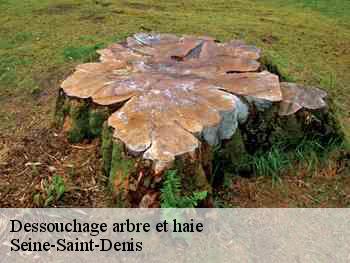 Dessouchage arbre et haie Seine-Saint-Denis 