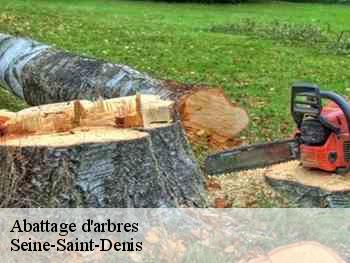 Abattage d'arbres Seine-Saint-Denis 