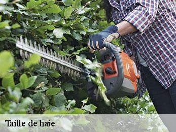 Taille de haie