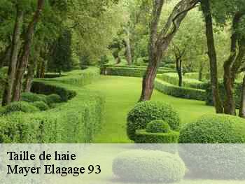 Taille de haie Mayer Elagage 93