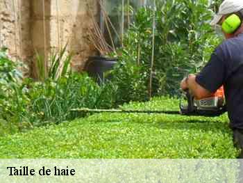 Taille de haie