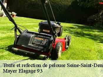 Tonte et refection de pelouse 93 Seine-Saint-Denis  Adolphe Elagage