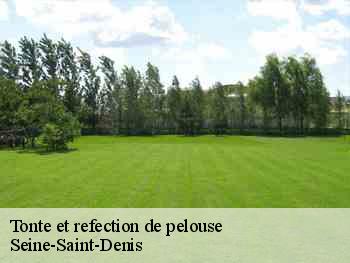 Tonte et refection de pelouse Seine-Saint-Denis 