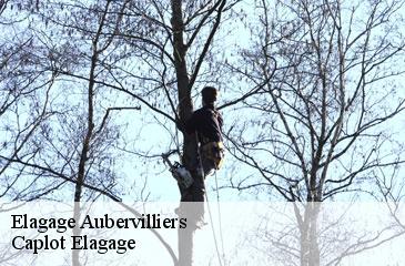 Elagage  aubervilliers-93300 Caplot Elagage