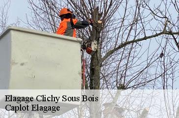Elagage  clichy-sous-bois-93390 Caplot Elagage