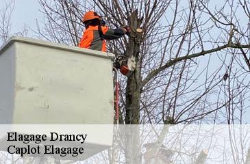 Elagage drancy-93700 Caplot Elagage