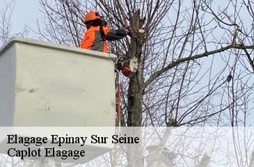 Elagage  epinay-sur-seine-93800 Caplot Elagage