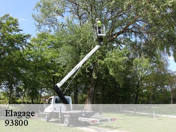 Elagage  93800