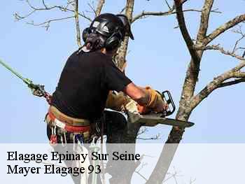 Elagage  epinay-sur-seine-93800 Mayer Elagage 93