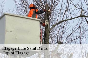 Elagage  l-ile-saint-denis-93450 Caplot Elagage