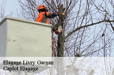 Elagage livry-gargan-93190 Caplot Elagage