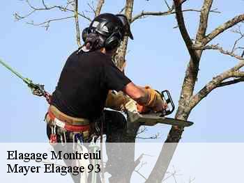 Elagage  montreuil-93100 Mayer Elagage 93