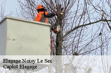 Elagage  noisy-le-sec-93130 Caplot Elagage