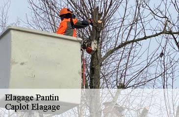 Elagage  pantin-93500 Caplot Elagage