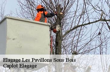 Elagage  les-pavillons-sous-bois-93320 Caplot Elagage