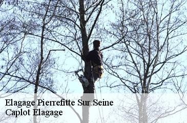 Elagage pierrefitte-sur-seine-93380 Caplot Elagage