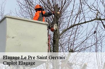 Elagage le-pre-saint-gervais-93310 Caplot Elagage