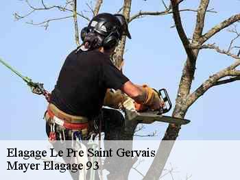 Elagage  le-pre-saint-gervais-93310 Mayer Elagage 93