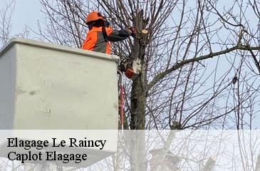 Elagage  le-raincy-93340 Caplot Elagage