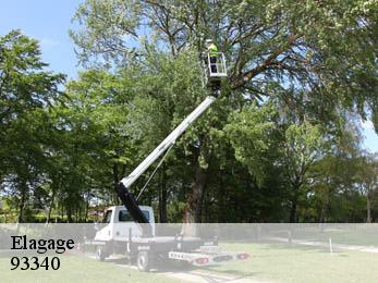 Elagage  93340