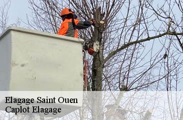 Elagage  saint-ouen-93400 Caplot Elagage