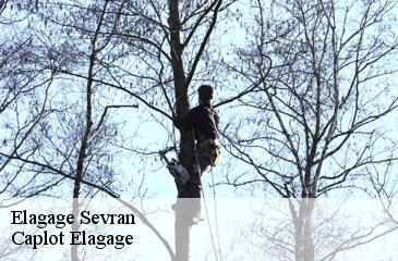 Elagage sevran-93270 Caplot Elagage