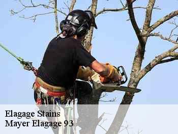 Elagage  stains-93240 Mayer Elagage 93