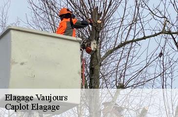 Elagage  vaujours-93410 Caplot Elagage